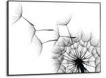 Wandbild REINDERS "Slim Frame Black 50x70 Dandelion", schwarz (farbe bild(er): schwarz), B:70cm H:50cm T:2cm, MDF, Bilder, Wandbild