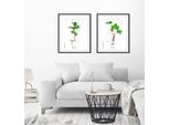 Bild QUEENCE "Clover", grün (farbe rahmen: schwarz, farbe bild(er): grün), B:40cm H:50cm, Acrylglas, Holz, Papier, Bilder, Bild, HD Premium Poster-Druck inkl. Holzrahmen
