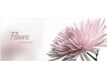 Leinwandbild QUEENCE "Flowers", rosa (farbe bild(er): rosa), B:100cm H:40cm T:2cm, Canvas, Holzrahmen, Bilder, Leinwandbild, Premium-Leinwandstoff, Handarbeit aus Deutschland, Spruch, 2er Set