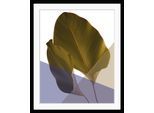 Bild QUEENCE "Moritz", bunt (farbe rahmen: schwarz, farbe bild(er): grün, violett), B:30cm H:40cm, Acrylglas, Holz, Papier, Bilder, Bild, HD Premium Poster-Druck inkl. Holzrahmen