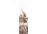 Schiebegardine HOME WOHNIDEEN "TRAWY" Gr. 1, beige (natur), B:60cm H:245cm, Polyester, Gardinen, Schiebegardine, Schiebevorhang bedruckt
