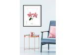 Bild QUEENCE "Malus", rosa (farbe rahmen: schwarz, farbe bild(er): rosa), B:40cm H:50cm, Bilder, Bild