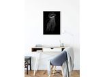 Bild KOMAR "Jellyfish Black", bunt (farbe bild(er): bunt), B:40cm H:50cm, Holz, Papier, Bilder, Bild, Wandbild zur Dekoration - ohne Rahmen