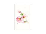 Bild KOMAR "Magnolia Breathe", rosa (farbe bild(er): rosa), B:40cm H:50cm, Holz, Papier, Bilder, Bild, Wandbild zur Dekoration - ohne Rahmen