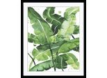 Bild QUEENCE "Heidi", grün (farbe rahmen: schwarz, farbe bild(er): grün), B:50cm H:70cm, Acrylglas, Holz, Papier, Bilder, Bild, HD Premium Poster-Druck inkl. Holzrahmen
