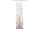 Schiebegardine VISION S "SCHIEBEVORHANG DIGITALDRUCK BAMBUS-OPTIK 'RELVA'", beige (natur), B:60cm H:260cm, Polyester, Gardinen, Schiebegardine, DIGITALDRUCK - INDIVIDUELL KÜRZBAR