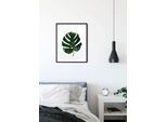 Bild KOMAR "Monstera Leaf", grün (farbe bild(er): bunt), B:30cm H:40cm, Holz, Papier, Bilder, Bild, Wandbild zur Dekoration - ohne Rahmen