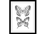 Bild QUEENCE "Schmetterlinge", schwarz (farbe rahmen: schwarz, farbe bild(er): schwarz), B:50cm H:70cm T:3cm, Acrylglas, Holz, Papier, Bilder, Bild, HD Premium Poster-Druck inkl. Holzrahmen