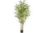 Kunstbambus CREATIV GREEN "Bambus", grün, H:180cm, Kunststoff, Kunstpflanzen, Kunstbambus, mit Naturstamm