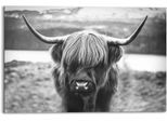 Wandbild REINDERS "Wandbild Schottische Hochlandrind Stier - Hörner - Hochplateau", schwarz (farbe bild(er): schwarz, weiß), B:90cm H:60cm, MDF, Bilder, Wandbild