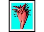 Bild QUEENCE "Anni", blau (farbe rahmen: schwarz, farbe bild(er): türkis, pink), B:30cm H:40cm, Acrylglas, Holz, Papier, Bilder, Bild, HD Premium Poster-Druck inkl. Holzrahmen