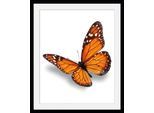 Bild QUEENCE "Evelina", orange (farbe rahmen: schwarz, farbe bild(er): orange), B:30cm H:40cm, Acrylglas, Holz, Papier, Bilder, Bild, HD Premium Poster-Druck inkl. Holzrahmen
