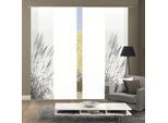 Schiebegardine HOME WOHNIDEEN "PAMPAS", grau, B:60cm H:245cm, Polyester, Gardinen, Schiebegardine, DIGITALDRUCK