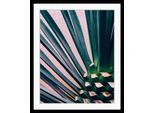 Bild QUEENCE, rosa (farbe rahmen: schwarz, farbe bild(er): rosa), B:30cm H:40cm, Acrylglas, Holz, Papier, Bilder, Bild, HD Premium Poster-Druck inkl. Holzrahmen
