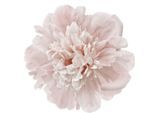 Wandtattoo QUEENCE "Doreen", rosa, B:80cm H:80cm, Folie, Wandtattoos, Wandtattoo, Wandbild, Sticker, rosa, Blume, Blüte, selbstklebend, Pastellfarben