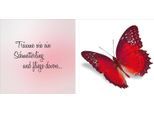 Leinwandbild QUEENCE "flieg davon", bunt (farbe bild(er): bunt), B:80cm H:40cm T:2cm, Canvas, Holzrahmen, Bilder, Leinwandbild, Premium-Leinwandstoff, Handarbeit aus Deutschland, Spruch, 2er Set