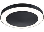PAULMANN Deckenleuchte "Circula", grau (anthrazit), 1, Ø 32cm H: 5,4cm, 1 Stk., Leuchten, Deckenlampe, nickel-matt, 22,5 cm, warmweiß, Deckenleuchte, Lampe, Deckenleuchte