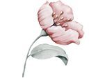 Wandtattoo QUEENCE "Annie", rosa, B:90cm H:90cm, Folie, Wandtattoos, Wandtattoo, Wandbild, Sticker, rosa, Blume, Blüte, selbstklebend, Pastellfarben