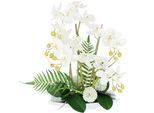Kunstblume I.GE.A. "Orchideen", weiß, B:35cm H:52cm L:24cm, Polyester, Kunstpflanzen, Kunstblume, Künstliche Orchidee in Keramik-Schale Blume Kunstorchidee Phalaenopsis