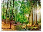 Poster REINDERS "Sonniger Wald", grün (farbe bild(er): grün), B:80cm H:60cm T:0,1cm, Leinwand, Bilder, Poster