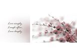 Leinwandbild QUEENCE "Live, Laugh & Love", bunt (farbe bild(er): bunt), B:100cm H:40cm T:2cm, Canvas, Holzrahmen, Bilder, Leinwandbild, Premium-Leinwandstoff, Handarbeit aus Deutschland, Spruch, 2er Set