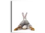 Wandbild REINDERS "Wandbild Kaninchen Rabbit - Hase - Schwanz - Relax", weiß (farbe bild(er): weiß), B:40cm H:50cm, MDF, Bilder, Wandbild