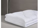 Kunstfaserbettdecke JEKATEX "Hohenstein Bettdecke, 135x200 oder 155x220 cm, für Sommer oder Winter", weiß, B:155cm L:220cm, Bezug: 100% Polyester. Füllung: 100% Polyester, Bettdecken, Kunstfaserbettdecke, mit antibakterielle Wirkung durch Aegis-Technologie
