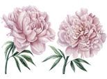 Wandtattoo QUEENCE "Lilly", rosa, B:70cm H:70cm, Folie, Wandtattoos, Wandtattoo, Wandbild, Sticker, rosa, Blume, Blüte, selbstklebend, Pastellfarben