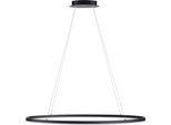 PAUL NEUHAUS Pendelleuchte "TITUS", grau (anthrazit), 1, 1 Stk., Leuchten, LED, Simply Dim, Pendelleuchte