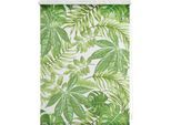 Seitenzugrollo LICHTBLICK ORIGINAL "Rollo Klemmfix, ohne Bohren, blickdicht, Blätter - Grün", grün (grün, weiß), B:70cm H:150cm, Polyester, Rollos, Seitenzugrollo
