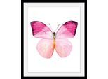 Bild QUEENCE "Jody", rosa (farbe rahmen: schwarz, farbe bild(er): rosa), B:50cm H:70cm, Acrylglas, Holz, Papier, Bilder, Bild, HD Premium Poster-Druck inkl. Holzrahmen