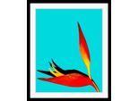 Bild QUEENCE "Rebecca", schwarz (farbe rahmen: schwarz, farbe bild(er): schwarz, grün), B:50cm H:70cm, Acrylglas, Holz, Papier, Bilder, Bild, HD Premium Poster-Druck inkl. Holzrahmen