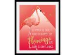 Bild QUEENCE "Alfie", pink (farbe rahmen: schwarz, farbe bild(er): coral, pink), B:30cm H:40cm, Acrylglas, Holz, Papier, Bilder, Bild, HD Premium Poster-Druck inkl. Holzrahmen