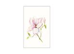 Bild KOMAR "Magnolia Shine", bunt (farbe bild(er): bunt), B:40cm H:50cm, Holz, Papier, Bilder, Bild, Wandbild zur Dekoration - ohne Rahmen