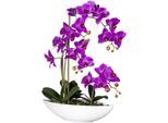 Kunstorchidee CREATIV GREEN "Phalaenopsis", lila, H:60cm, Kunststoff, Kunstpflanzen, Kunstorchidee, im Keramikschiff