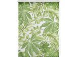 Seitenzugrollo LICHTBLICK ORIGINAL "Rollo Klemmfix, ohne Bohren, blickdicht, Blätter - Grün", grün (grün, weiß), B:45cm H:150cm, Polyester, Rollos, Seitenzugrollo