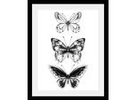 Bild QUEENCE "Schmetterlinge", schwarz (farbe rahmen: schwarz, farbe bild(er): schwarz), B:50cm H:70cm T:3cm, Acrylglas, Holz, Papier, Bilder, Bild, HD Premium Poster-Druck inkl. Holzrahmen