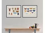 Bild QUEENCE "Das Große Krabbeln", bunt (farbe rahmen: schwarz, farbe bild(er): bunt), B:50cm H:40cm, Acrylglas, Holz, Papier, Bilder, Bild, HD Premium Poster-Druck inkl. Holzrahmen