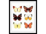 Bild QUEENCE "Elina", bunt (farbe rahmen: schwarz, farbe bild(er): bunt), B:40cm H:50cm, Acrylglas, Holz, Papier, Bilder, Bild, HD Premium Poster-Druck inkl. Holzrahmen