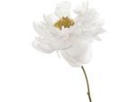 Wandtattoo QUEENCE "Danile", gelb, B:90cm H:90cm, Folie, Wandtattoos, Wandtattoo, Wandbild, Sticker, Blume, Blüte, selbstklebend