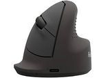 Fellowes Vertikalmaus Bretyta Ergo, Grösse M, für Rechtshänder, ergonomisch, 2-fache Konnektivität, 800-1600 dpi, B 83 x T 104,5 x H 75 mm, schwarz