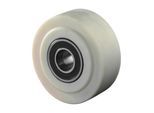 BS Rollen Polyamidrad (B16.303))