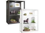 VCM Glasvitrine hängend Vitrine Glas mit ESG-Sicherheitsglas Maße ca. H. 90 x B. 70 x T. 35 cm Hängevitrine Glas Modern und platzsparend Glas Vitrinenschrank - Glasol LW