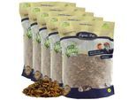 Lyra Pet Protein Boost Insekten Mix - mit Mehlwürmern, Shrimps & Grashüpfern 5 kg