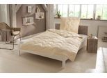 Naturfaserbettdecke OTTO HOME "Baumwolle 60 C, Bettdecke 135x200 cm, 155x220 cm, 200x200 cm", beige (natur), B:135cm L:200cm, Bezug: 100% Baumwolle. Füllung: 100% Baumwolle, Bettdecken, Naturfaserbettdecke, Bettdecken, Sommer, Winter, 4 Jahreszeiten, Decke, Made in Germany, Topseller