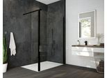 Hoesch Duschabtrennung Alaris Pro Walk-In Eckversion mit Schutzwand 8629470.101414