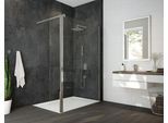 Hoesch Duschabtrennung Alaris Pro Walk-In Eckversion mit Schutzwand 8629475.101401