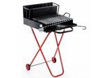 AgriEuro Premium Line Small - Holzgrill mit Grillrost - aus Edelstahl - 45x34 - mit Auffangwanne - zusammenklappbar und tragbar