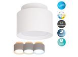 NÄVE LED Deckenleuchte "Trimes", weiß, 1, Ø 14cm H: 10cm, 1 Stk., Leuchten, rund, dimmbar, CCT per Schiebeschalter, Nachtlicht, Backlight, Memory, LED Deckenleuchte