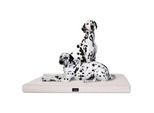 Tierlando ALICE VISCO - Orthopädische Hundematte creme 80 cm, 9 cm, 60 cm
